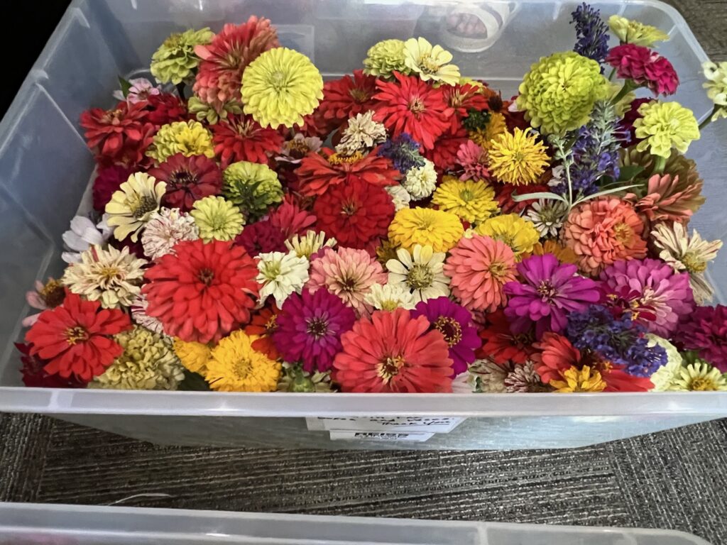 From the Ground Up: Earthworks in Bloom